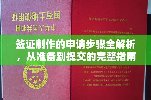 宜城签证制作的申请步骤全解析，从准备到提交的完整指南
