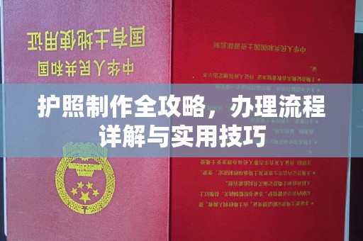 静海护照制作全攻略，办理流程详解与实用技巧