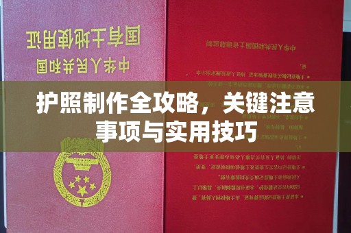 望花护照制作全攻略，关键注意事项与实用技巧